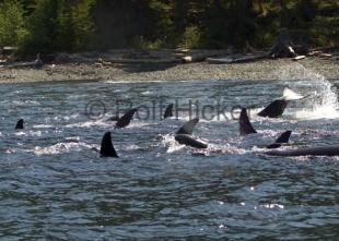 photo of CRW 1329