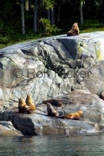 photo of CRW 2093
