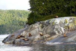 photo of CRW 2107