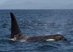 photo of CRW 2370