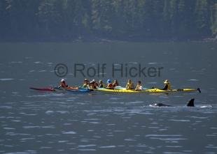 photo of CRW 2451