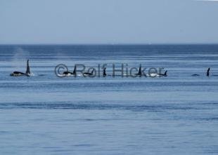 photo of CRW 2476