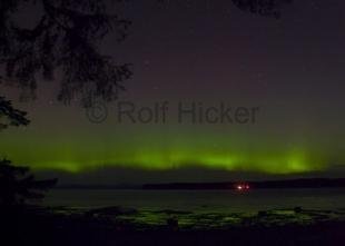 photo of Northern Light Malcolm Island Aurora borealis Pictures