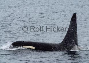photo of CRW 3227