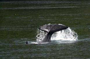 photo of CRW 3290