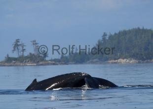 photo of CRW 3433