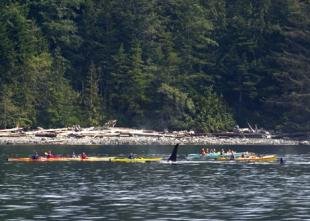 photo of sea kayaking bc