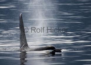 photo of CRW 3580