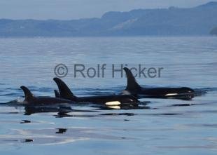 photo of CRW 3748