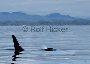 photo of CRW 3751