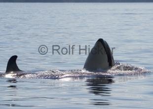 photo of CRW 3812