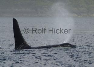 photo of CRW 4351