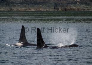 photo of CRW 4382