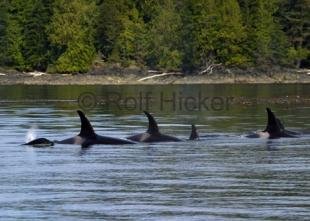 photo of CRW 4436