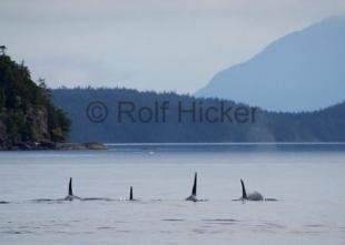 photo of CRW 4456