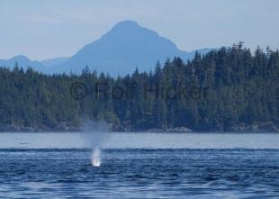photo of CRW 4482