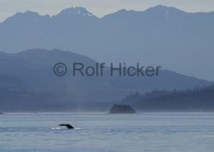 photo of CRW 4496