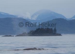 photo of Humpback Whale British Columbia Landscape