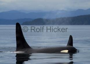 photo of CRW 4825