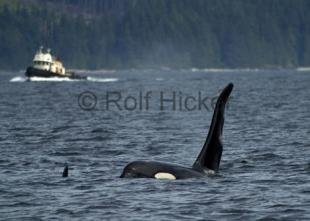 photo of CRW 5740