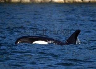 photo of CRW 5841