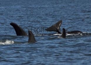 photo of CRW 6021