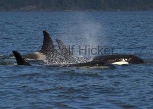 photo of CRW 6046