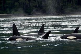 photo of CRW 6398