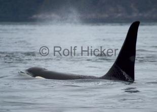 photo of CRW 6453