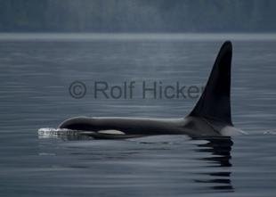 photo of CRW 6546