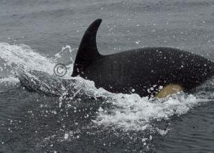 photo of CRW 7045