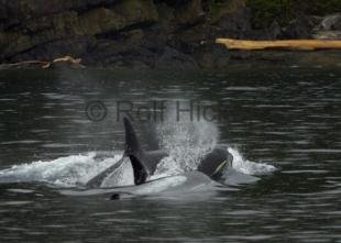 photo of CRW 7134