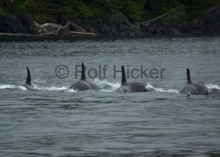 photo of CRW 7137