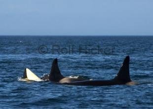 photo of CRW 7252