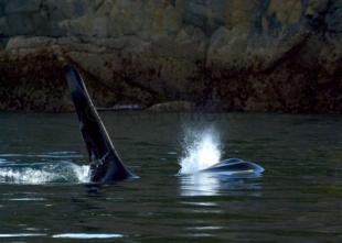 photo of CRW 7274