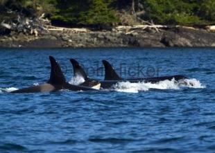 photo of CRW 7396