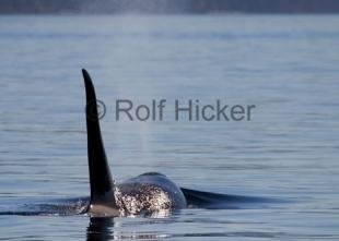 photo of CRW 7469