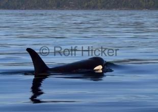 photo of CRW 7531
