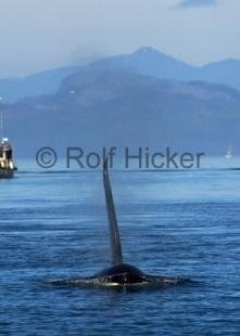 photo of CRW 7595