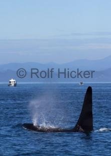 photo of CRW 7621
