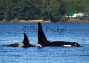 photo of CRW 7679