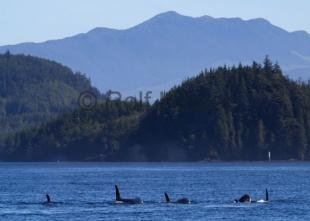 photo of CRW 7696
