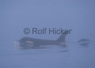 photo of CRW 7835