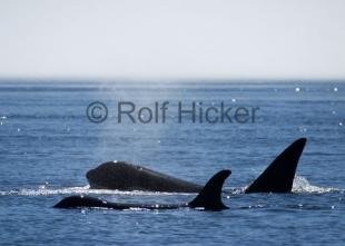 photo of CRW 7869