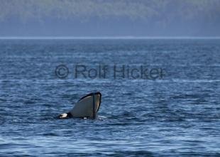 photo of CRW 7917