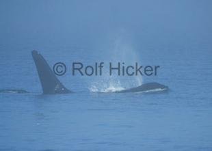 photo of CRW 7919