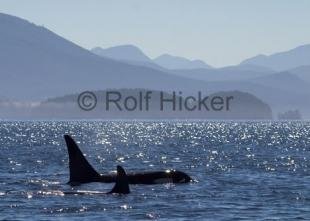 photo of CRW 7966