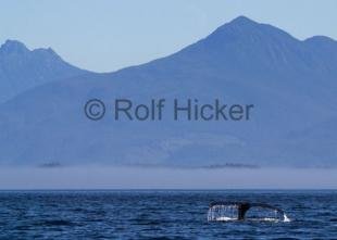 photo of CRW 7979