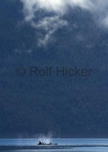photo of CRW 8113