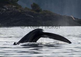 photo of CRW 8959